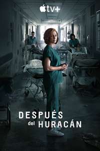 Five Days at Memorial - Posters