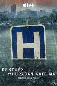 Five Days at Memorial - Posters