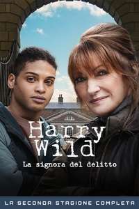 Harry Wild - Posters