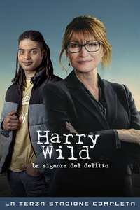 Harry Wild - Posters