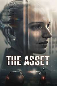 The Asset - Posters