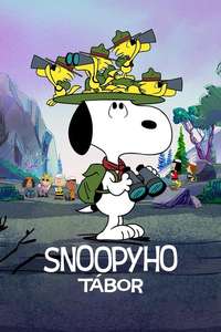 Camp Snoopy - Posters