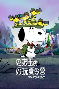 Camp Snoopy - Posters