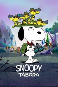 Camp Snoopy - Posters