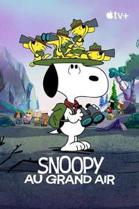 Camp Snoopy - Posters