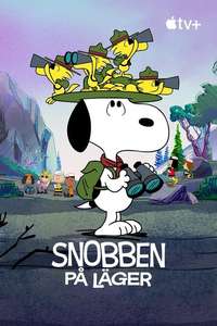 Camp Snoopy - Posters