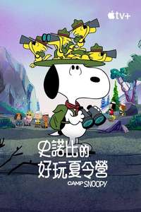 Camp Snoopy - Posters