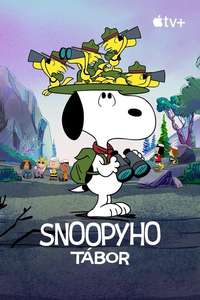 Camp Snoopy - Posters