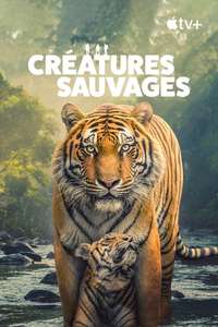 Season 1 - Posters