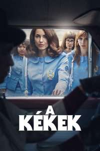 Women in Blue - Posters