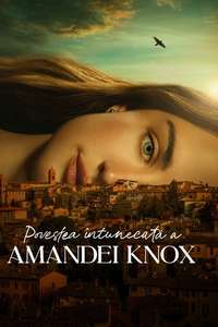 The Twisted Tale of Amanda Knox - Posters
