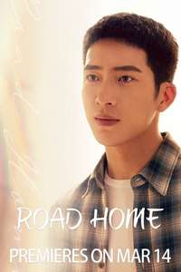 Road Home - Posters