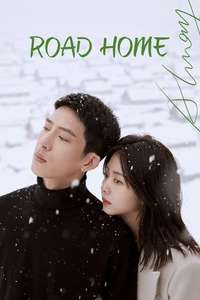 Road Home - Posters