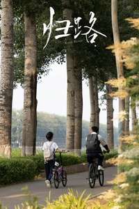Road Home - Posters