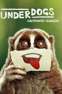 Underdogs - Posters