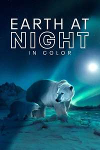 Earth At Night In Color - Posters