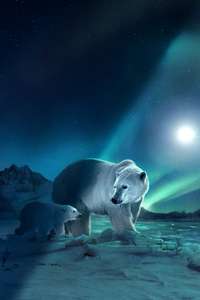 Earth At Night In Color - Posters