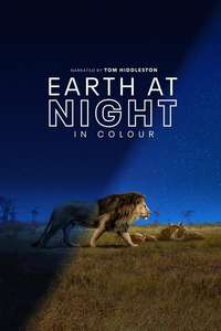 Earth At Night In Color - Posters