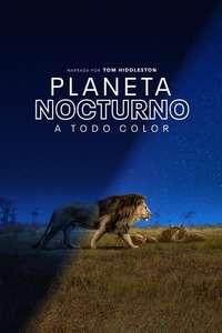 Earth At Night In Color - Posters