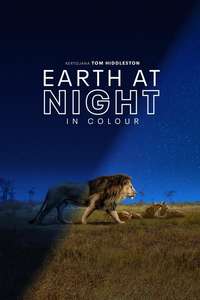 Earth At Night In Color - Posters