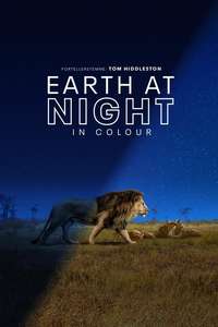 Earth At Night In Color - Posters