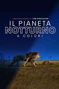 Earth At Night In Color - Posters