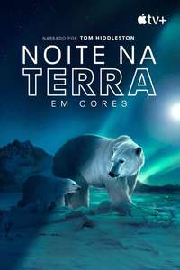 Earth At Night In Color - Posters