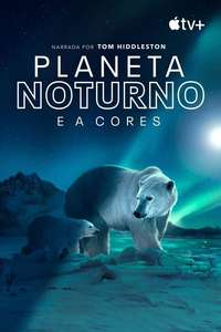 Earth At Night In Color - Posters
