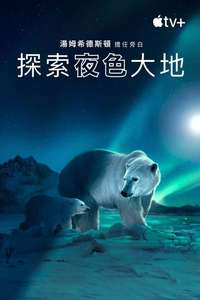 Earth At Night In Color - Posters