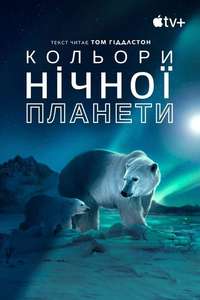 Earth At Night In Color - Posters