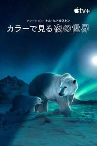 Earth At Night In Color - Posters