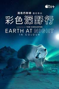 Earth At Night In Color - Posters