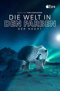 Earth At Night In Color - Posters