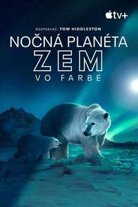 Earth At Night In Color - Posters