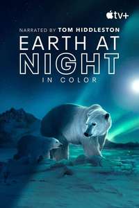 Earth At Night In Color - Posters