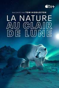 Earth At Night In Color - Posters