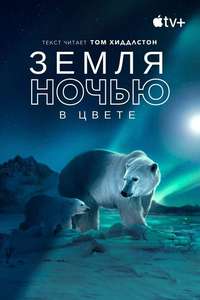 Earth At Night In Color - Posters