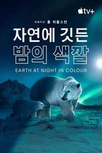 Earth At Night In Color - Posters