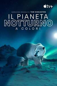 Earth At Night In Color - Posters