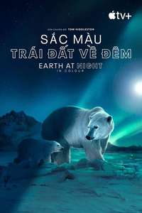 Earth At Night In Color - Posters