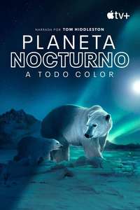 Earth At Night In Color - Posters
