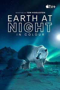 Earth At Night In Color - Posters