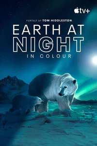 Earth At Night In Color - Posters