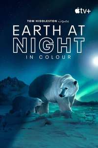 Earth At Night In Color - Posters