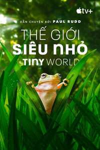 Tiny World - Posters