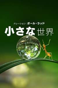 Tiny World - Posters