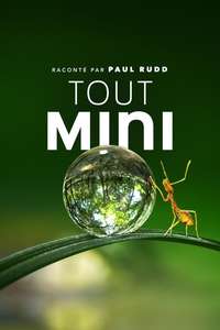 Tiny World - Posters