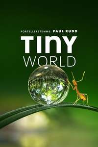 Tiny World - Posters