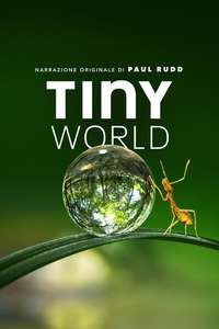Tiny World - Posters