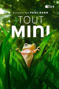 Tiny World - Posters